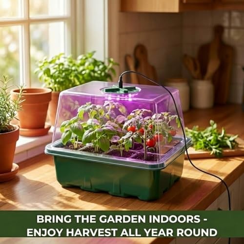 Seed Starter Kit with Grow Light, Elevated Seedling Tray Kit with Adjustable