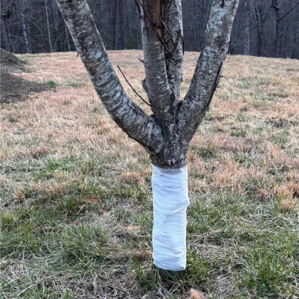 Winter Tree Wrap Protect Plants Protector for Shrubs Garden Ornamental