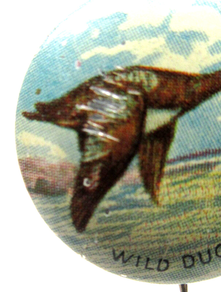 bird 1930's WILD DUCK 7/8" tin litho pinback button ^