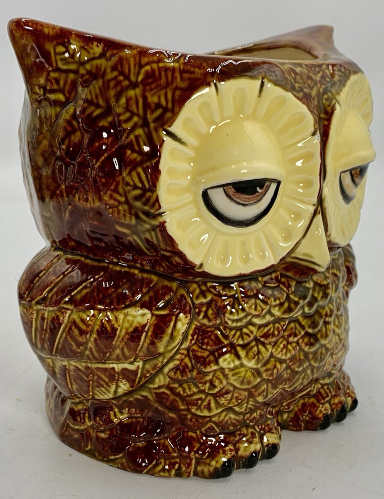 Claylicious Painted Ceramic Owl Planter Pot