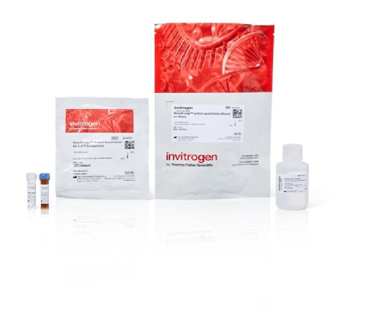 Thermo Scientific NanoOrange™ Protein Quantitation Kit