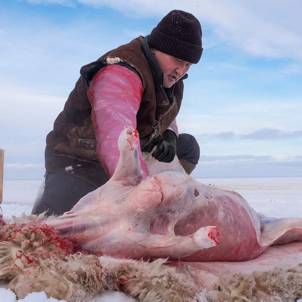 20-Pair Field Dressing Gloves - Deer Gutting & Processing, Includes Nitrile & Di