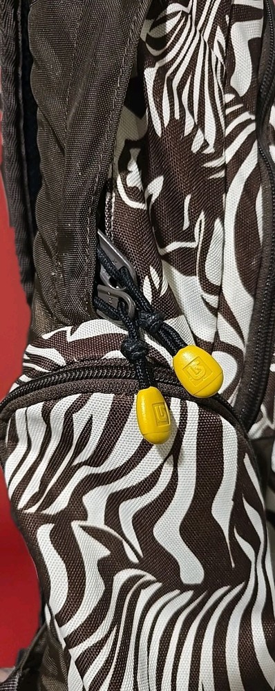 Burton Ski Snow Backpack