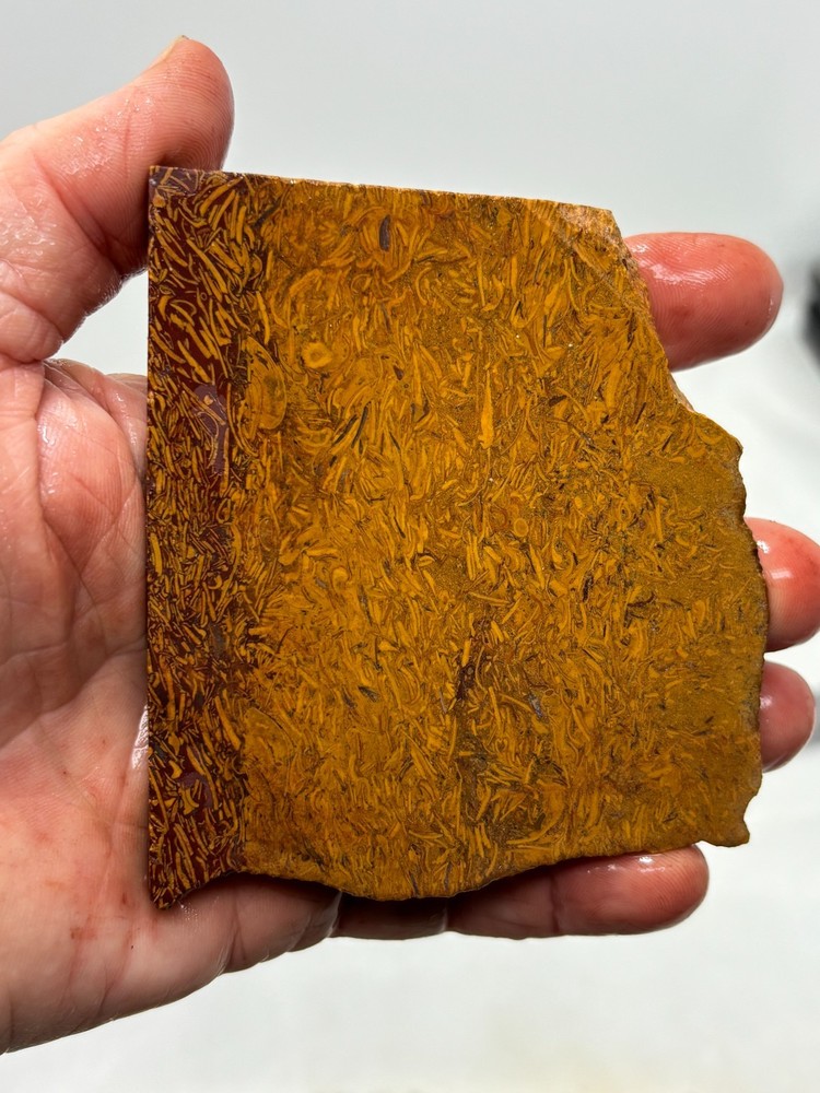 Script Stone Jasper Slab Cabbing Lapidary Collecting Combo Ship Avail