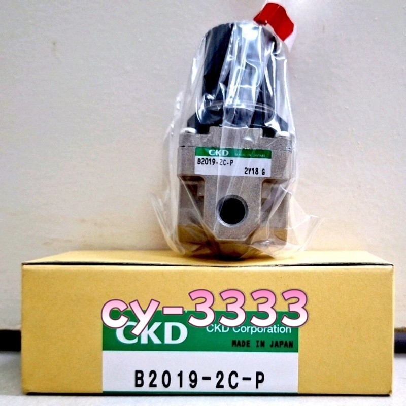1PC NEW CKD B2019-2C-P Pressure Reducing Valve Fast delivery