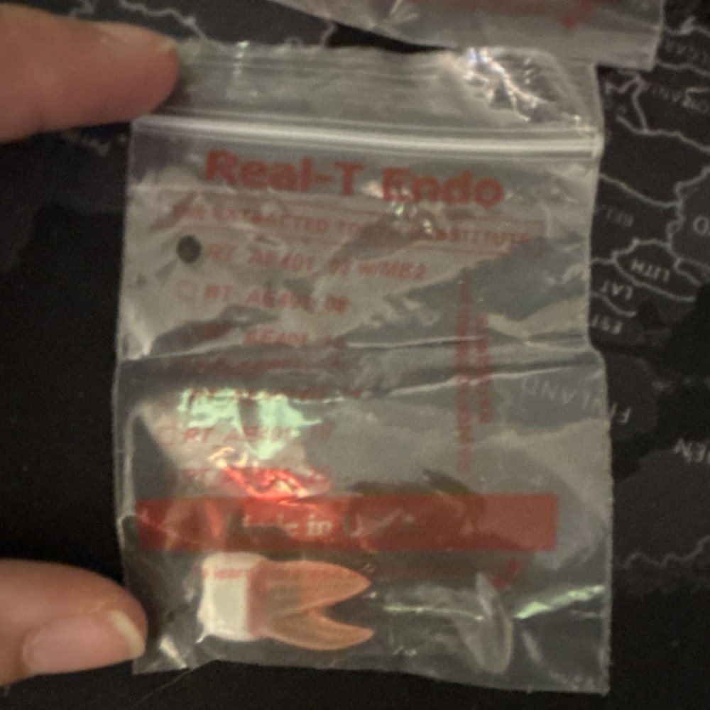 Real-T Endo Typodont Teeth RT_AE401_08 Dental Training Endodontics