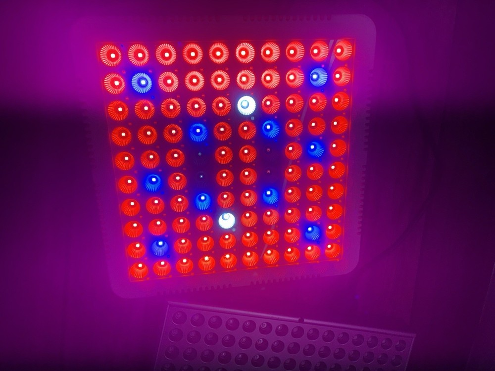 2 Light For Grow Houses