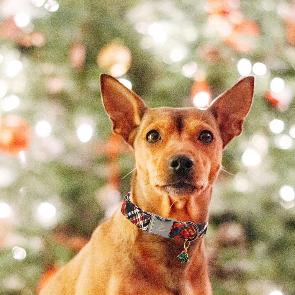 Plaid Dog Collar - Soft Durable Adjustable for Medium Dogs - Christmas Fall C...