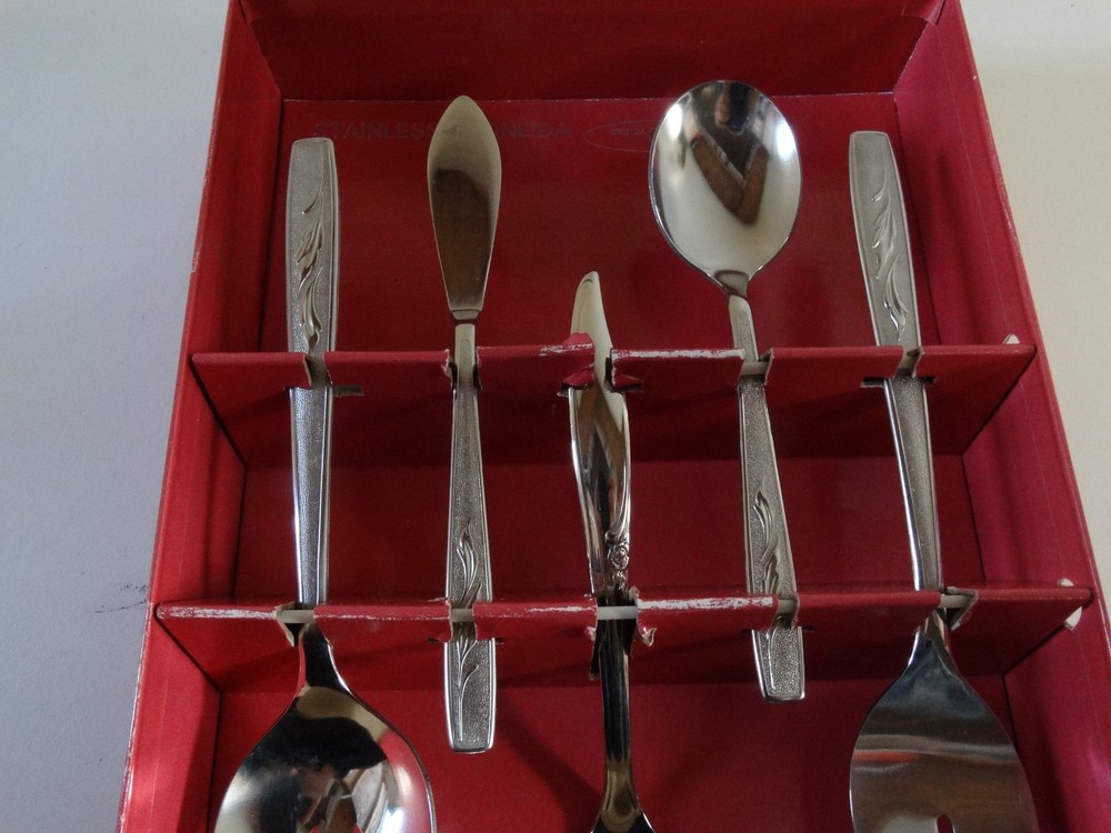 Oneida -Custom Stainless Flatware Silverware AUTUMN MEMORY in box 5 pieces