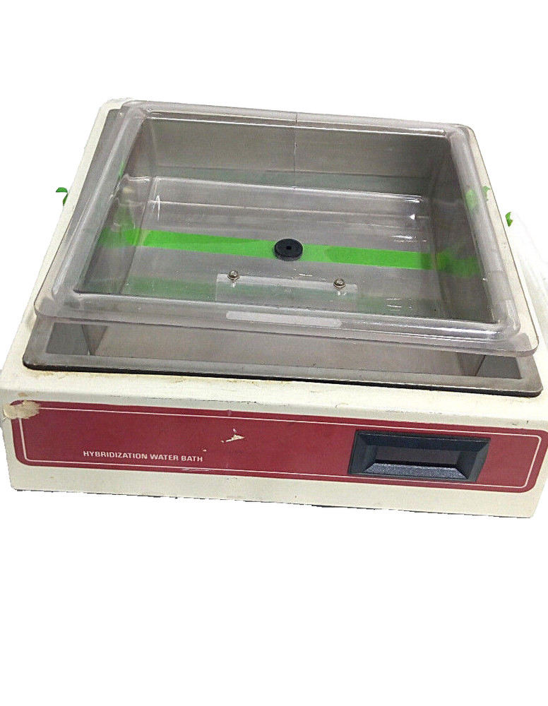 Hybridization Water Bath BDHWB115 Belly Dancer Shaker Bath