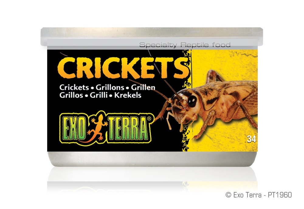 Exo Terra Crickets 1.2 oz