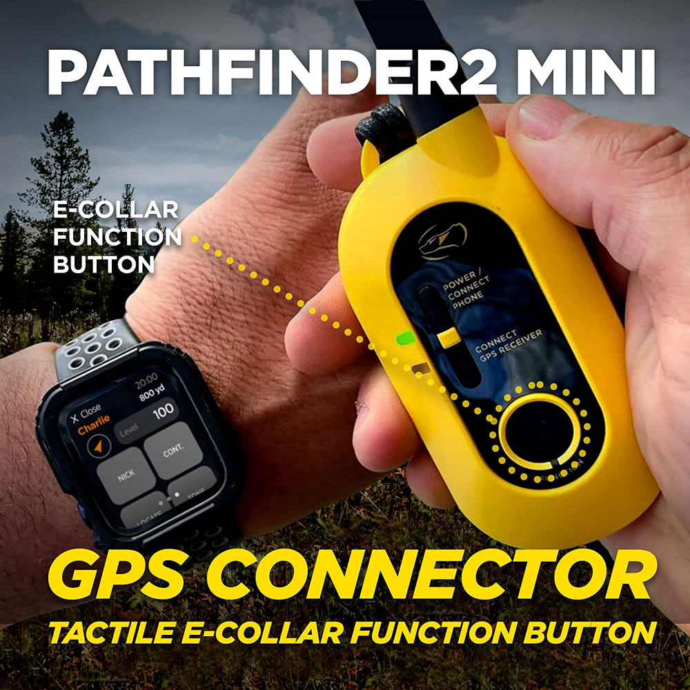 Dogtra Pathfinder 2 Mini Built In GPS Tracking and Training All in One System