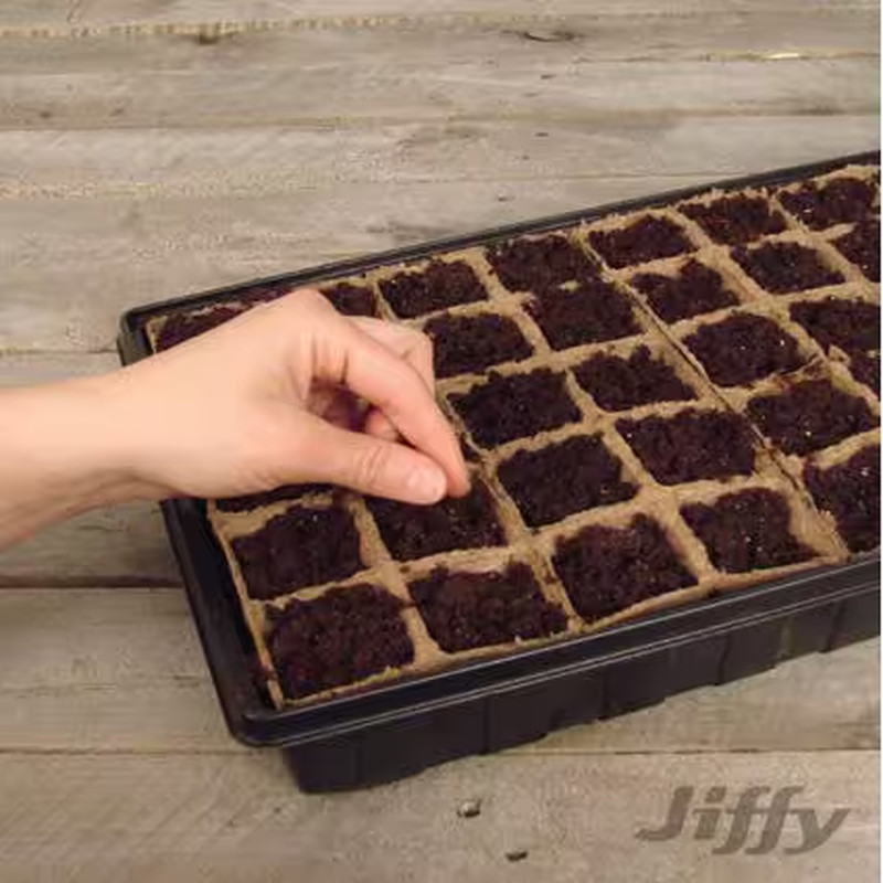Peat Strips N' Greenhouse Seed Starter Kit