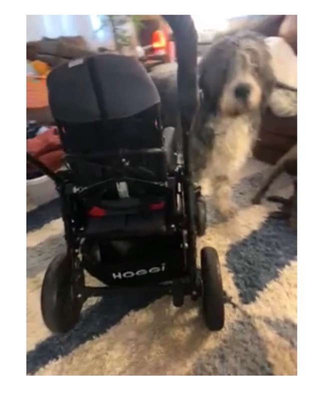 Hoggi BINGO Evolution Size 1 Spinal Injury Foldable Special Needs Stroller