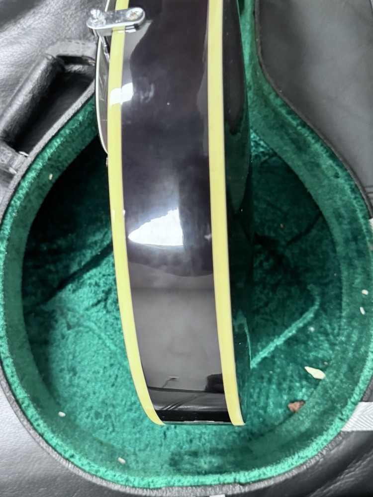 OSCAR SCHMIDT OM 10, Hard Case Great Shape