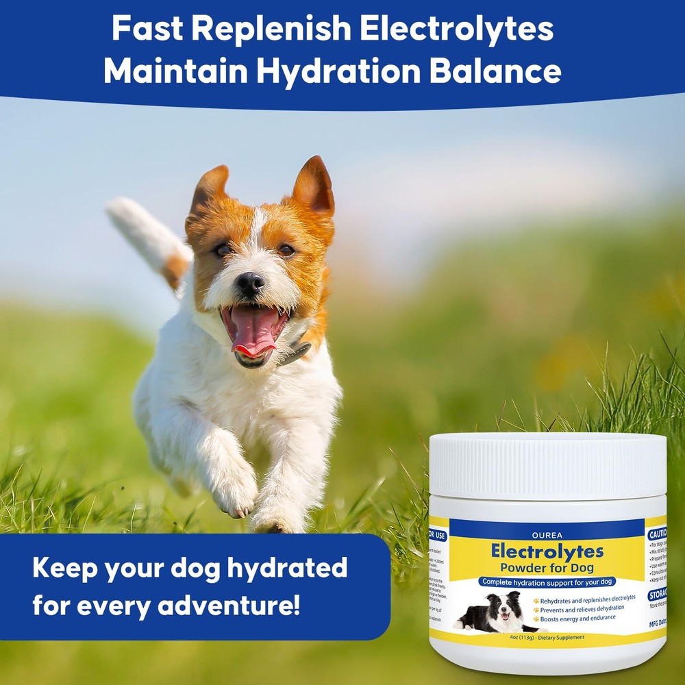 Electrolytes Powder for Dogs, Fast Hydration Support Prevents Dehydration,...