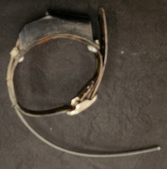 Hunting Dog Tracking Collar