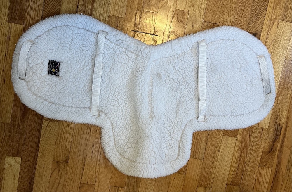 White Fitted English Saddle Pad - Toklat