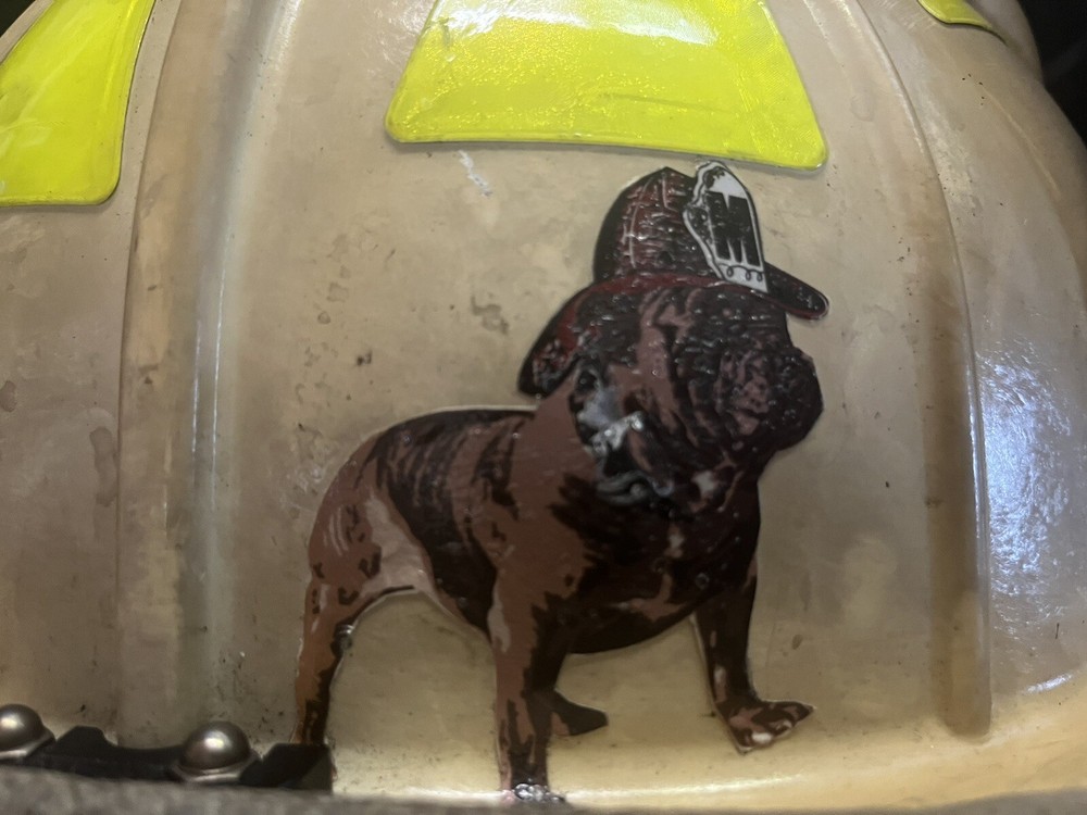 Fire Helmet Bulldog Sticker-3”