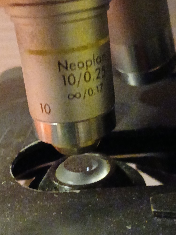 Reichert Microstar IV Series Model 410 Microscope