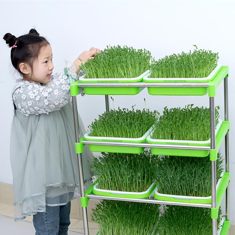 10Pack Seed Sprouter Tray Kit for Microgreens, Cat Grass & Wheatgrass