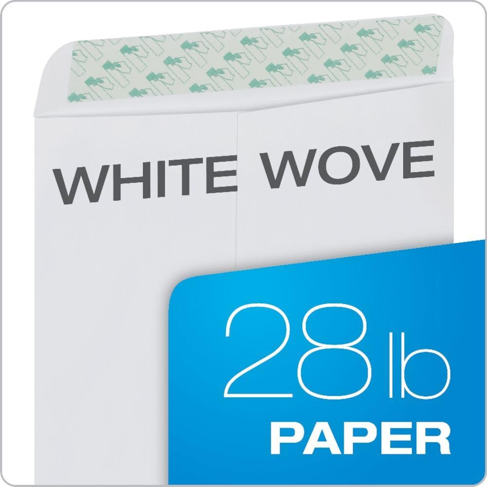 9 X 12 Catalog Envelopes, 100 Pack, Document Envelopes with Self Seal Closure, H