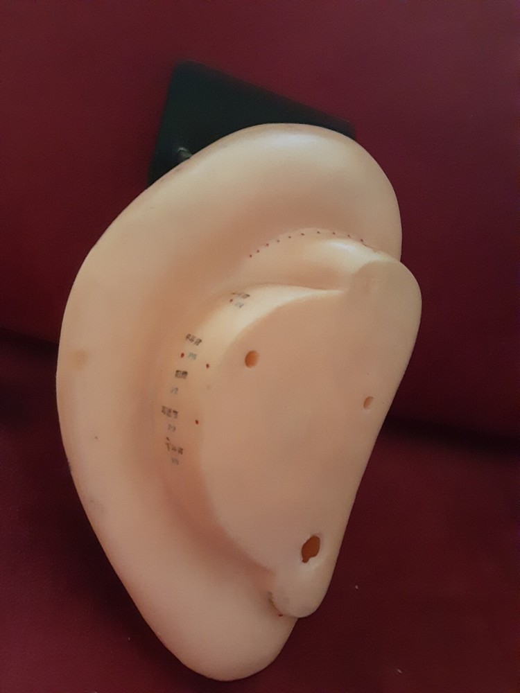 EAR ACUPUNCTURE MODEL WITH STAND