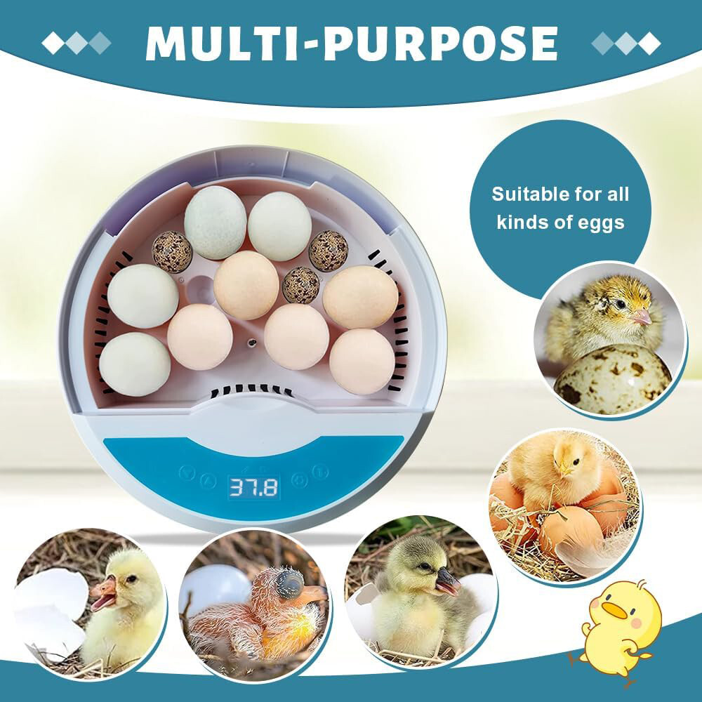 HBN 9 Egg Incubator w/ Temperature Control, Touch Operation& Temperature Display