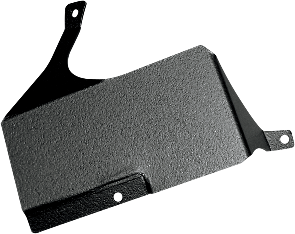 HOGTUNES 2CHSP MOUNT AMP F/24.2