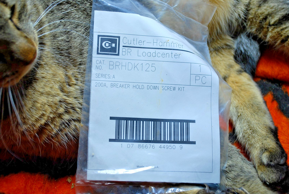 Eaton BRHDK125 Hold Down Screw Kit For Type BR Two Pole Breakers