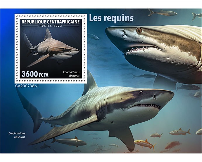 Sharks