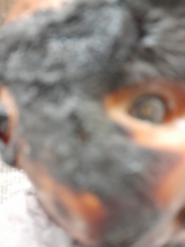 Val / Haunted Doll / READ DESCRIPTION