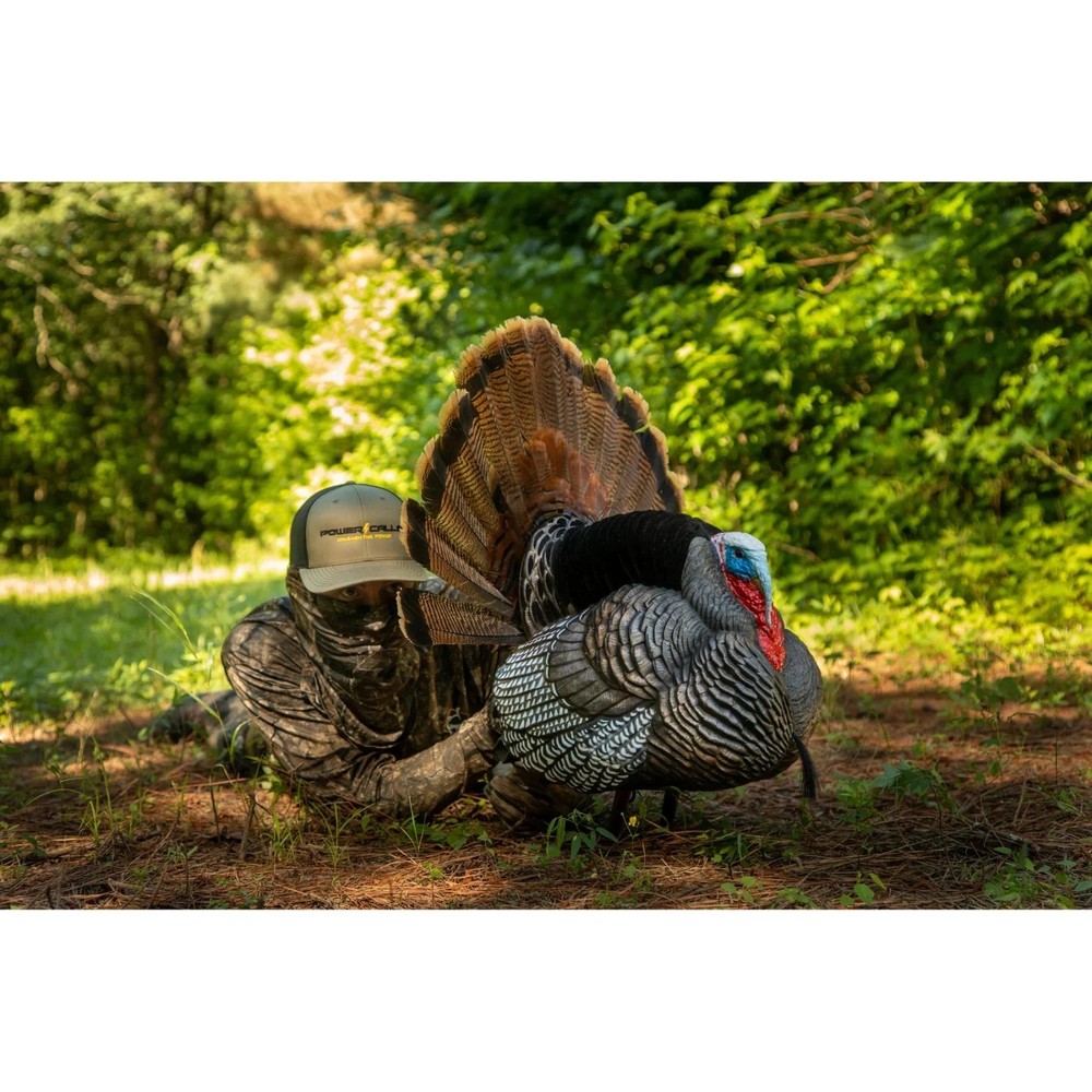 Higdon Outdoors Apex Strutter Hard Body Turkey