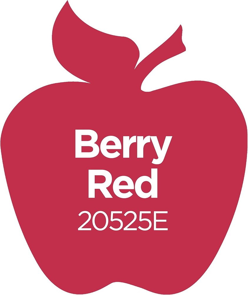 Apple Barrel Craft Paint Berry Red 2 oz – Easy Application