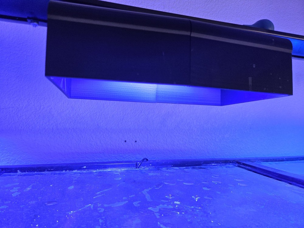 Hydra 44 light shade
