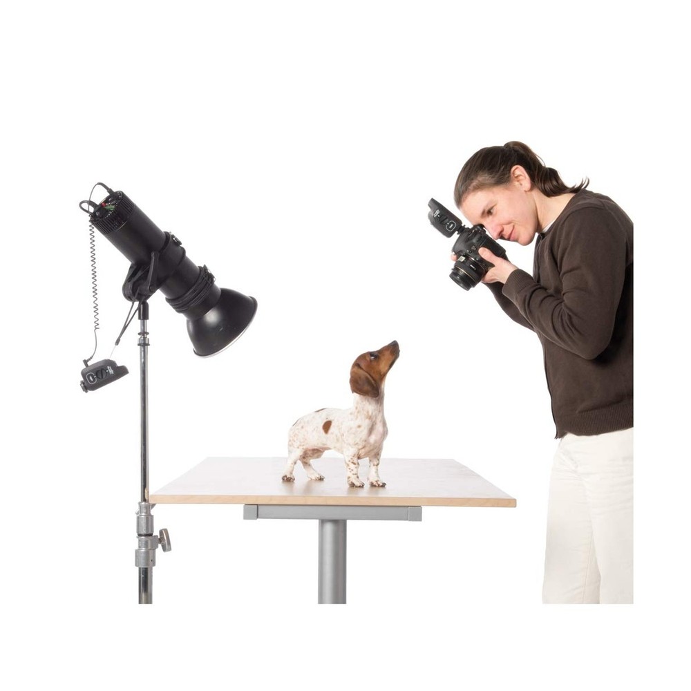 PocketWizard PlusX Transceiver (Black) (Pack of 2) 2 pack