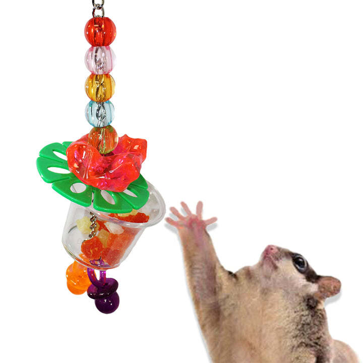 Cage Enhancement Set (Basic) - Interactive Climbing Foraging Accessory