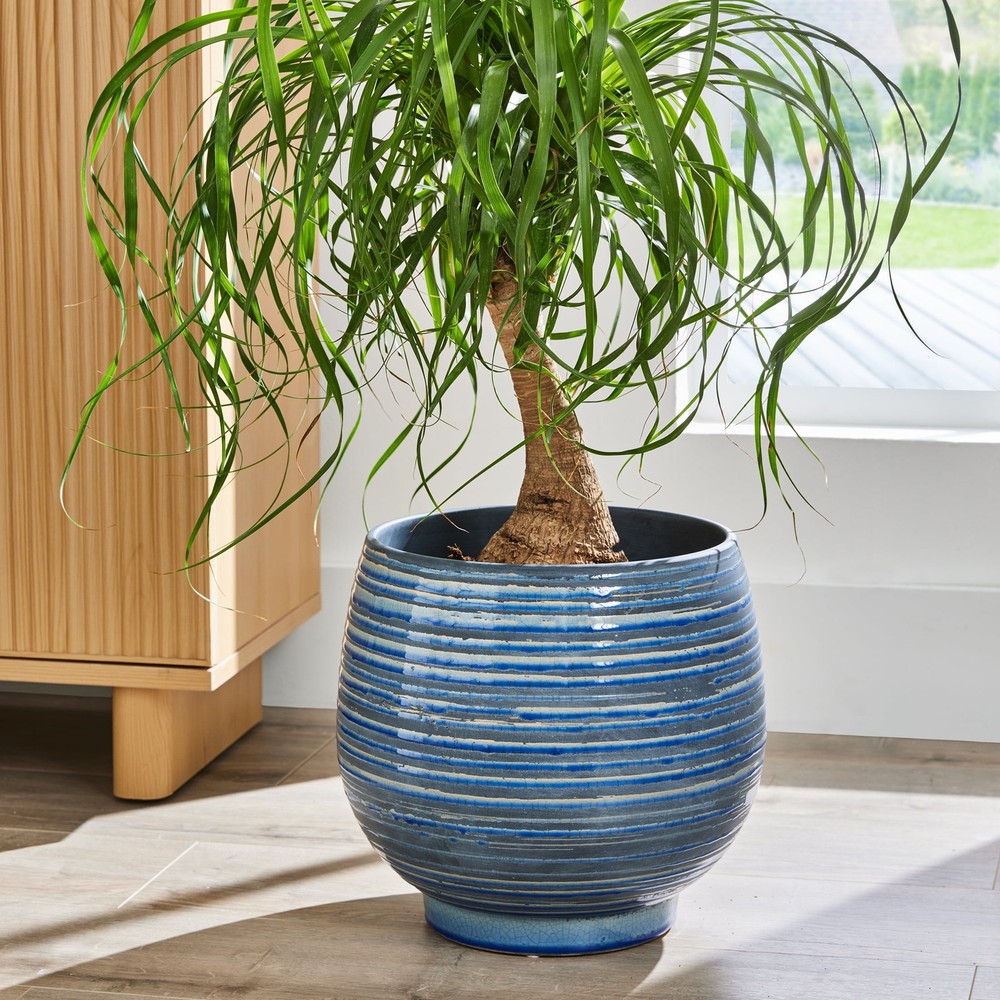 12 in Ceramic Lynlee Planter Blue