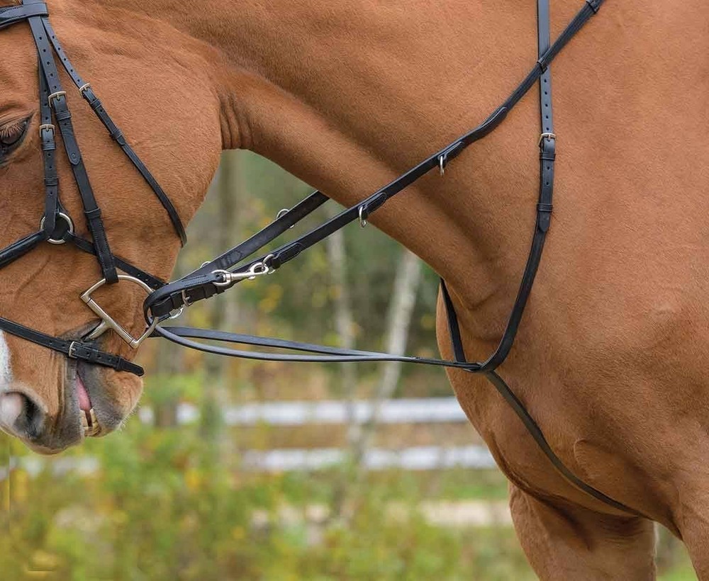 Avignon German Martingale