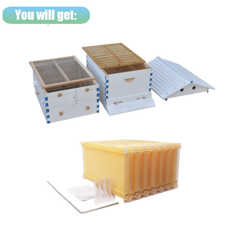 2026 Auto Bee Hives Beekeeping Starter Kit Bee Box + 7 Plastic Beekeeping Frames