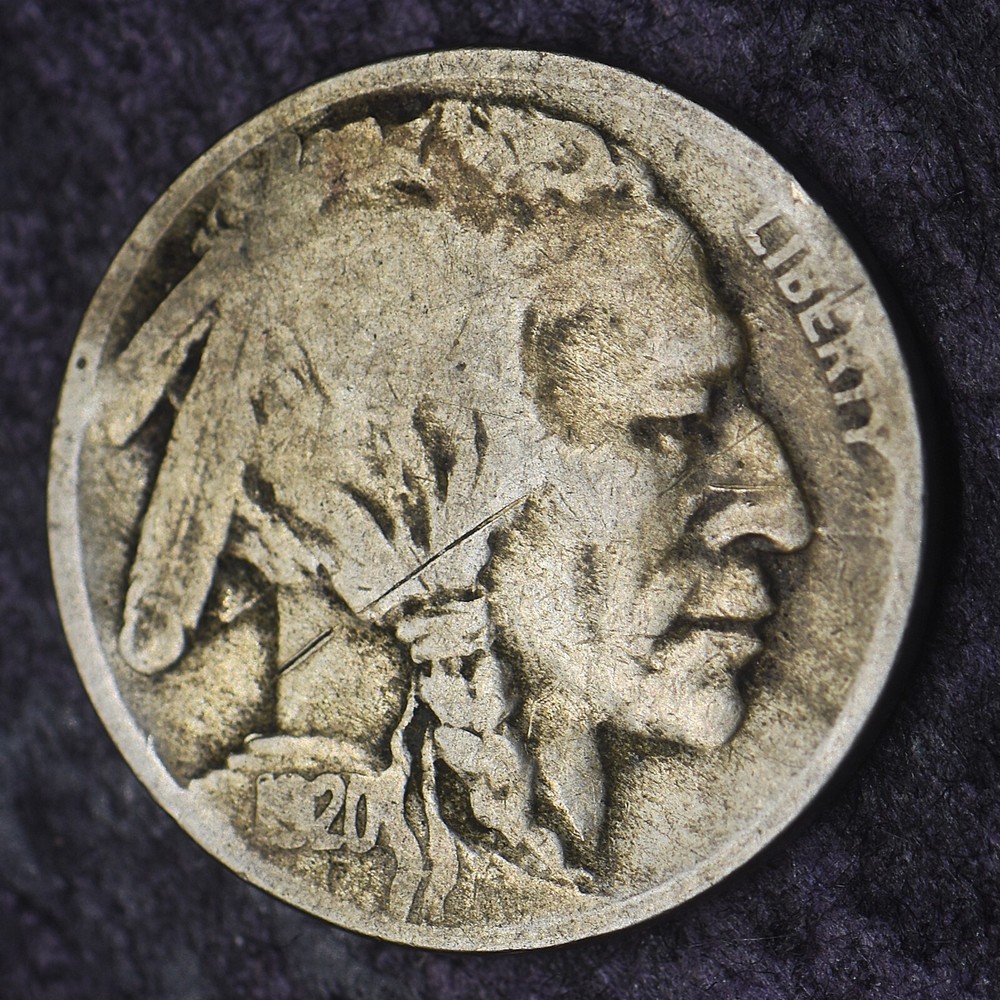 1920-D Buffalo Nickel 5C - COINGIANTS -