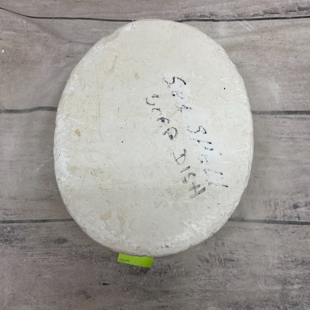Ceramic Slip Casting Mold Seashell Soap Dish #JE-115