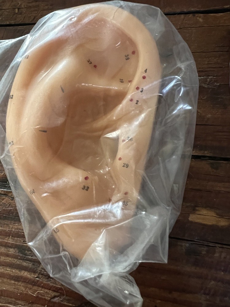 Vintage Ear Models Showing Acupuncture Points - Shanghai China