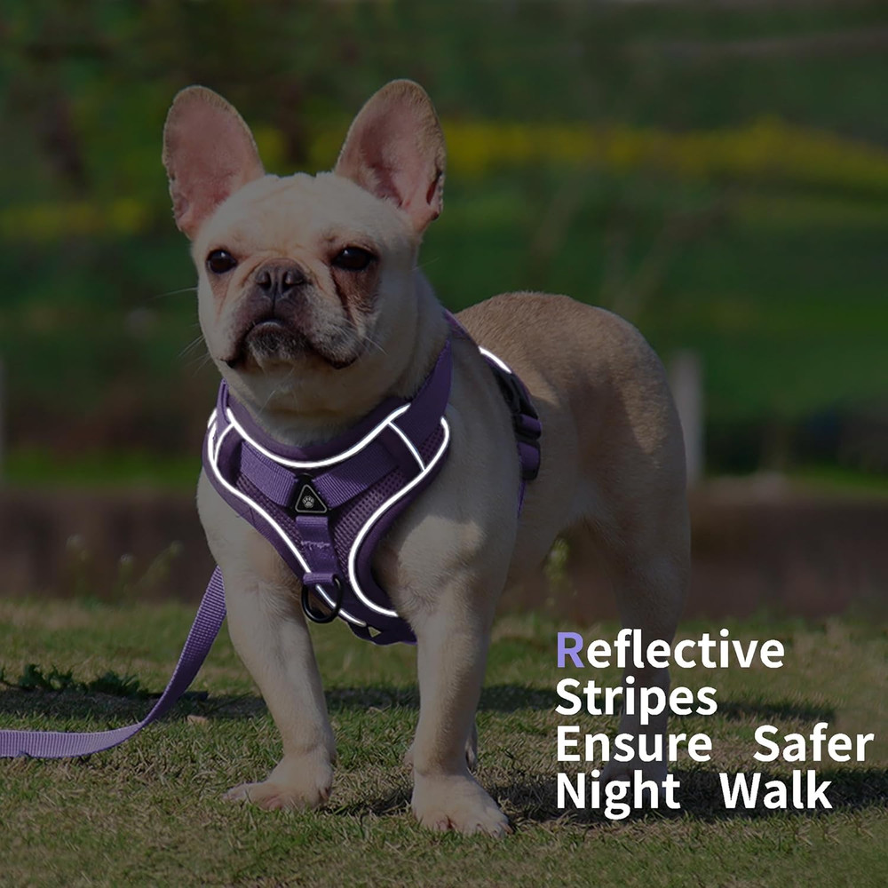 No Pull Dog Harness with Leash Set for Small Sized Dog, Reflective Adjustable No