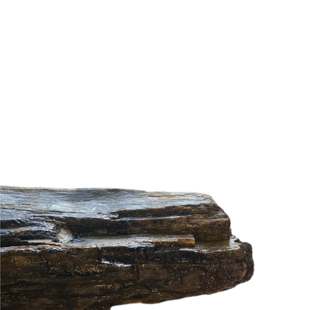 6lb Petrified Wood