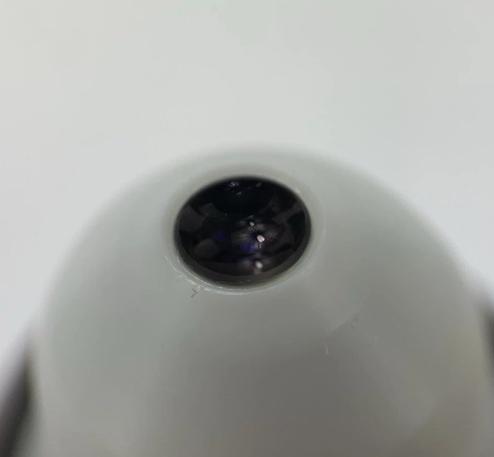 Olympus Microscope Objective LUMPlanFL / IR 60x W Water Immersion RMS Infinity