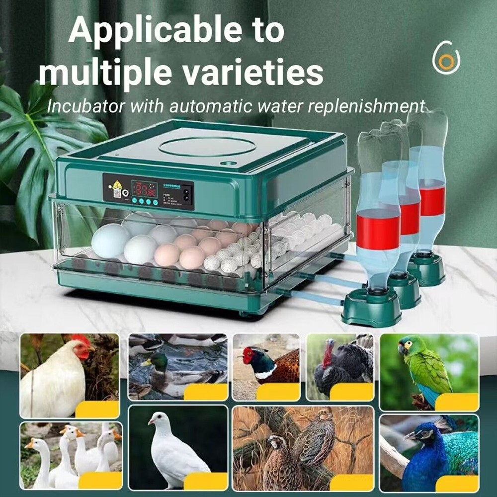 15 Eggs Incubator Fully Automatic Turning Temperature Control Egg Lamp Chic Bird
