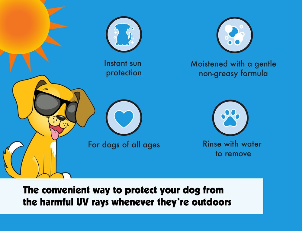 Petkin Dog Sunscreen Sunstick, 2 Pack
