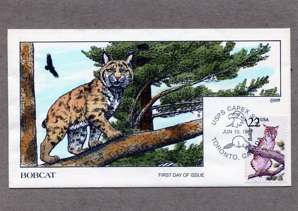 WWLF COLLINS FDC  CAPEX NORTH AMERICAN WILDLIFE  2332   BOB CAT