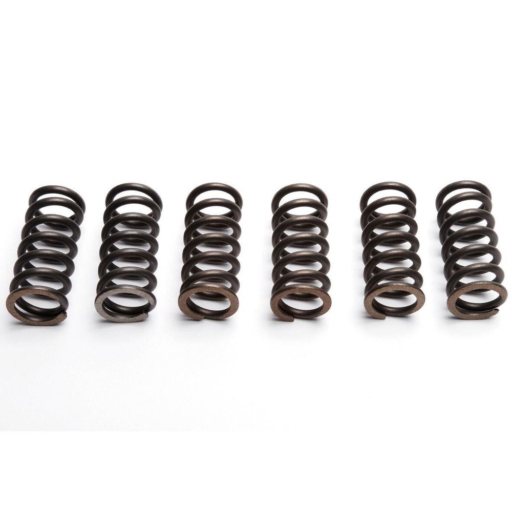 EBC Clutch Spring Set (6 PCS) - CSK010
